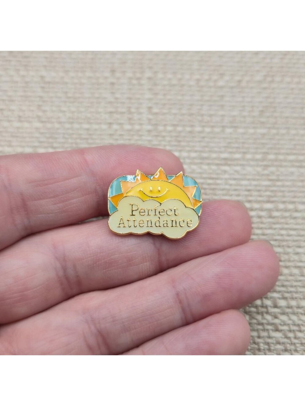 Perfect Attendance Award Pin - Teacher Supplies, Classroom Incentive Gift A8089
